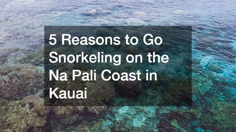 5 Reasons to Go Snorkeling on the Na Pali Coast in Kauai